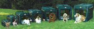 Soft Sided Pop Up Portable Dog Crates Out Doors