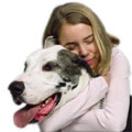 Great Dane and Woman
