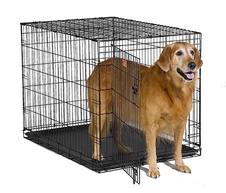 large collapsible dog crate