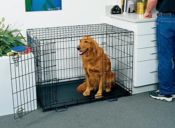 life stages double door dog crate