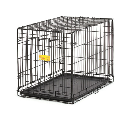 ace pet crate