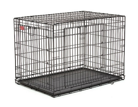 ace pet crate