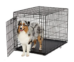 ace pet crate