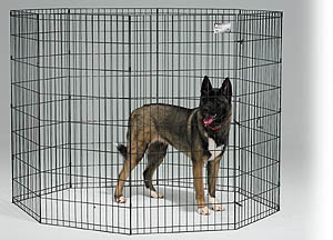 48 inch dog exercise pen