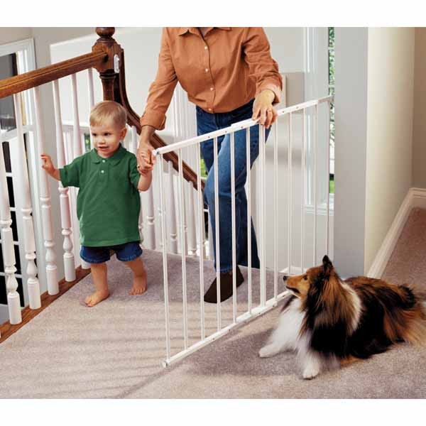 kidco g2000