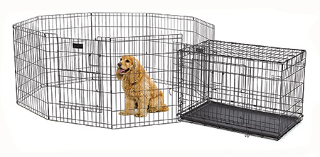 puppy playpen and crate