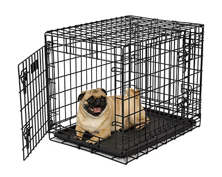 AFP 4-Door Dog Crate for Indoor and Outdoor Use