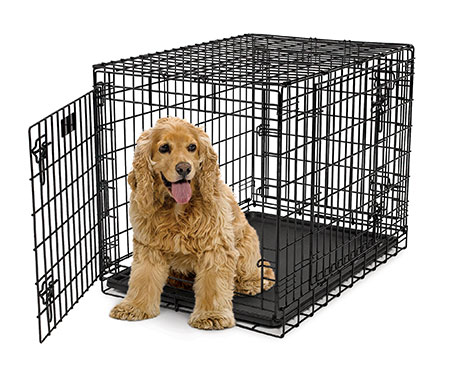 iCrate®, Perfect Housetraining Crate