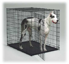 Great Dane Dog Crate Model 1154U