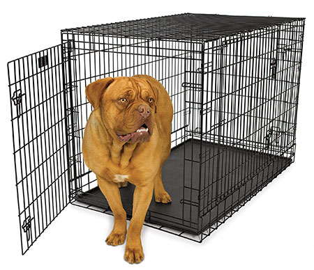 Midwest Ultima Pro Triple Door Folding Dog Crate